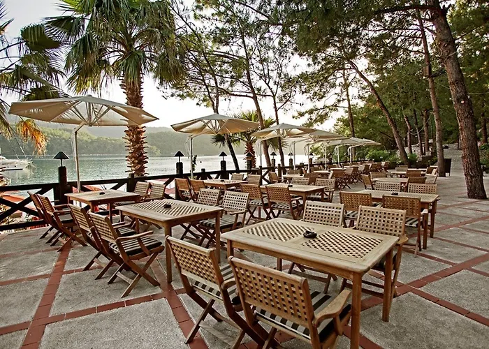 Marti Hemithea مرمريس