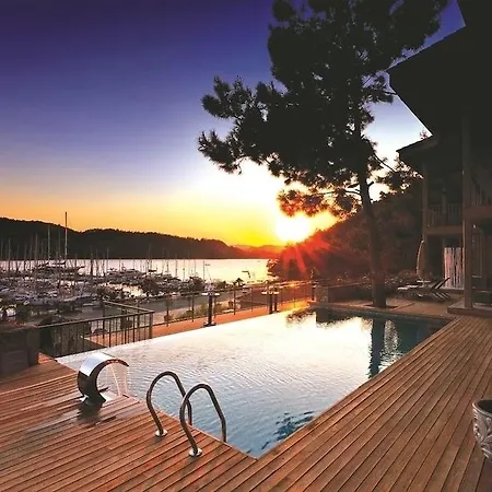 Marti Hemithea 马尔马里斯